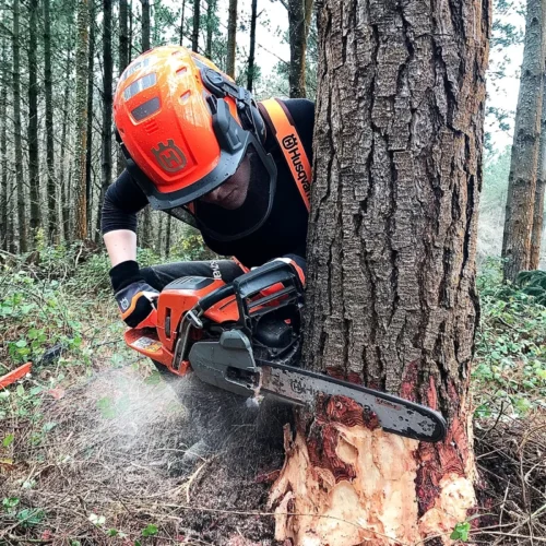 Aspersora eléctrica y manual PowerCat