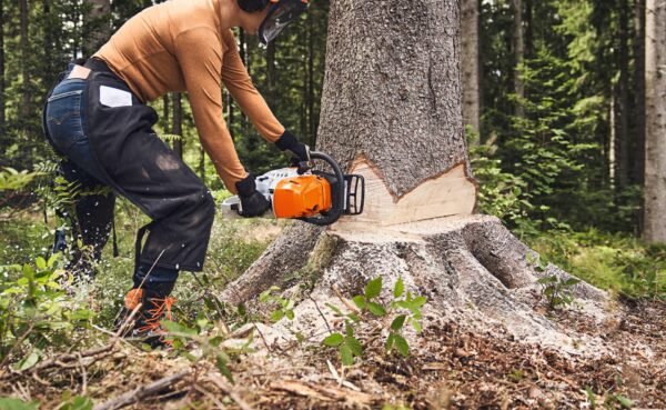 Motosierra STIHL MS 363 25"